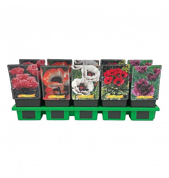 Papaver mix Ø11
