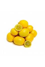 Citrus floridana Limequat Ø14x14 Na steblu 15 cm