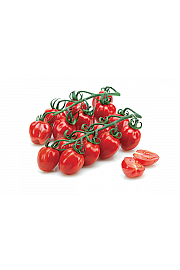 Paradižnik CE Fragolino F1 Ø13