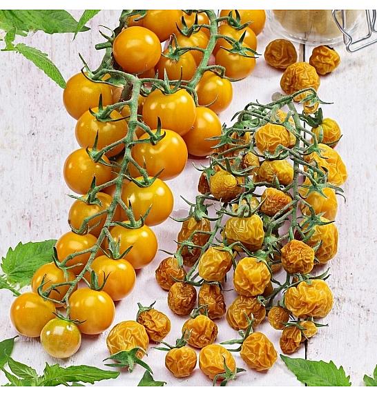 Paradižnik Tutti Frutti Deep Yellow Desire F1 Ø 10,5