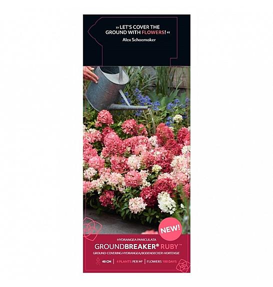 Hydrangea p. Groundbreaker®Mix C1,5 Lit.