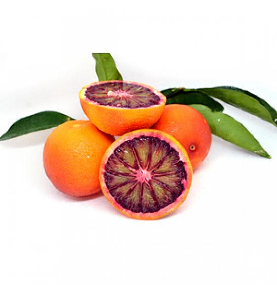 Citrus sinensis Sanguinello  Ø20 Na steblu 30 cm