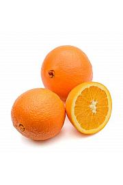 Citrus sinensis Washington Ø20 Na steblu 30 cm