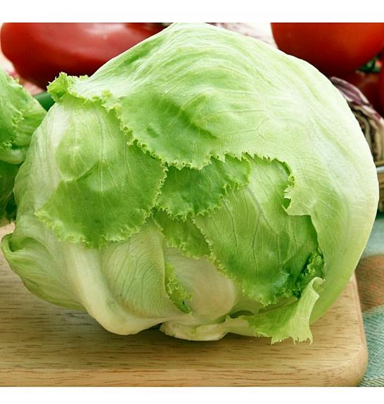 Solata Brasiliana Novice Kultipak 72/9