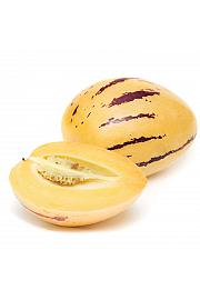 Solanum muricatum Pepino GOLD Melonasta hruška Ø12