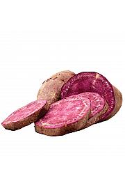 Sladki krompir Ipomoea batatas ''Sakura'' Ø10,5