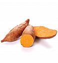 Sladki krompir Ipomoea batatas ''Beauregard'' Ø10,5