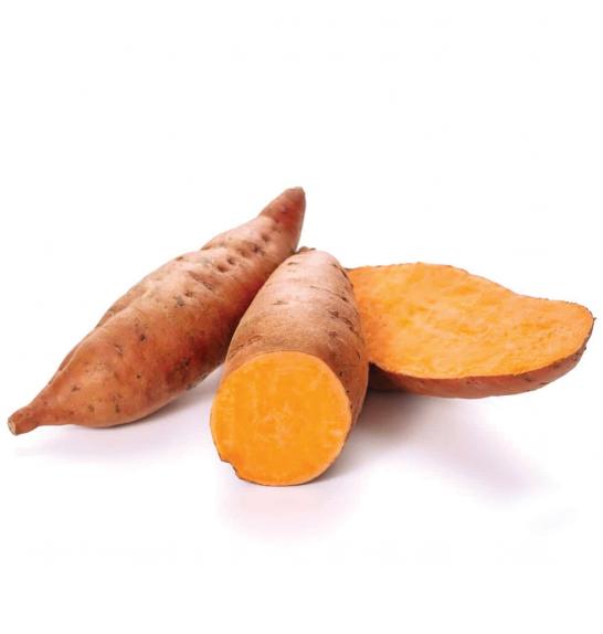 Sladki krompir Ipomoea batatas ''Beauregard'' Ø10,5