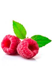 Rubus idaeus Enrosadira® C2 Lit. 40-60 cm (108180)