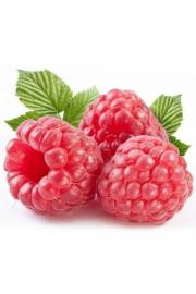 Rubus idaeus Autumn Bliss C2 Lit. 40-60 cm (25521)