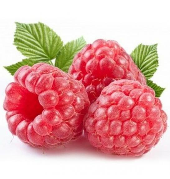 Rubus idaeus Autumn Bliss C2 Lit. 40-60 cm (25521)