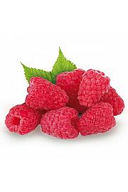 Rubus idaeus Tulameen C2 Lit. 40-60 cm (25113)