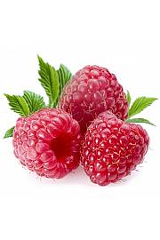 Rubus idaeus Meeker C2 Lit. 40-60 cm (47643)