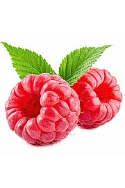 Rubus idaeus Schoenemann C2 Lit. 40-60 cm