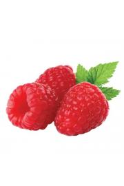 Rubus idaeus Mailling Promise C2 Lit. 40-60 cm