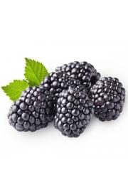 Rubus fruticosus Triple Crown C2 Lit. 40-60 cm (54107)