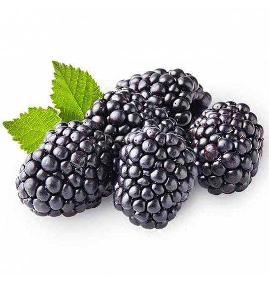 VE-BO FRUIT Rubus fruticosus Triple Crown