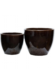 Lonec Rjava;D55H50;442516