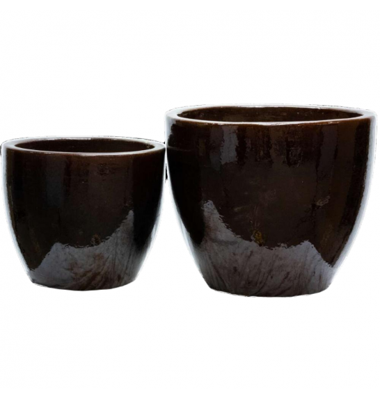 Lonec Rjava;D55H50;442516