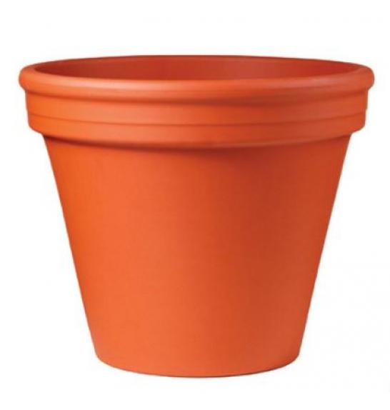 Lonec BLT Natur; 001-001-18; Ø20H17