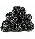 Rubus fruticosus Black Satin C2 Lit. 30-40 cm