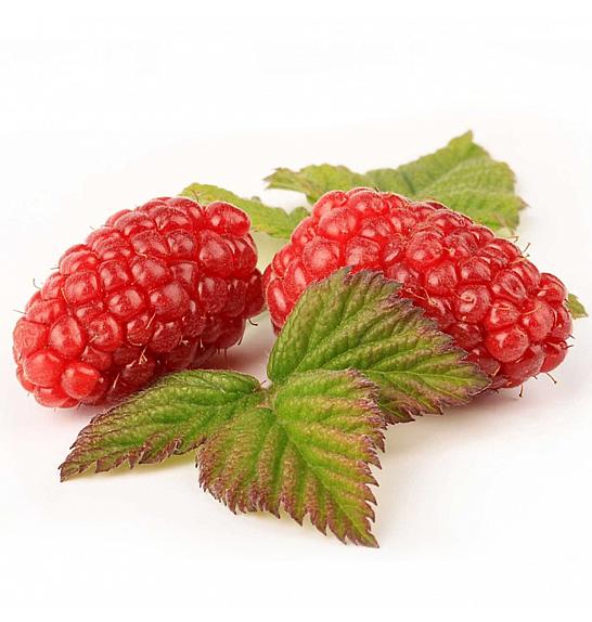 Rubus Buckingham Tayberry C2 Lit. 30-40 cm
