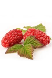 Rubus Buckingham Tayberry C2 Lit. 40-60 cm