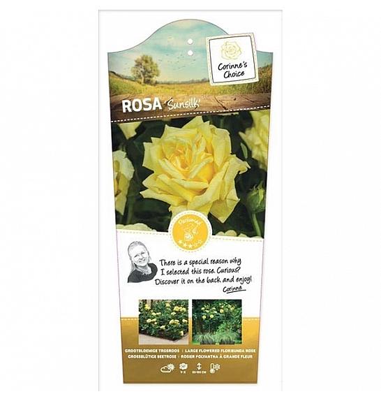 Rosa Sunsilk C6 Lit. Na steblu 110 cm