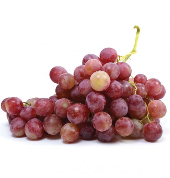 Vitis vinifera Coralla C4 Lit. 125-150 cm