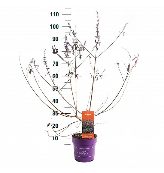 Vitex Flip Side C3 Lit. 40-60 cm