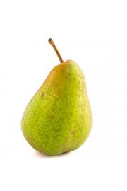 Pyrus communis Saphira C5 Lit. 60-80 cm Stebričasta
