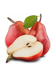 Pyrus communis Red Williams C5 Lit. 80-100 cm Patio (35237)