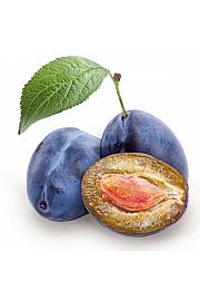 Prunus domestica Hauszwetsche C7,5 Lit. 125-150 cm (35366)