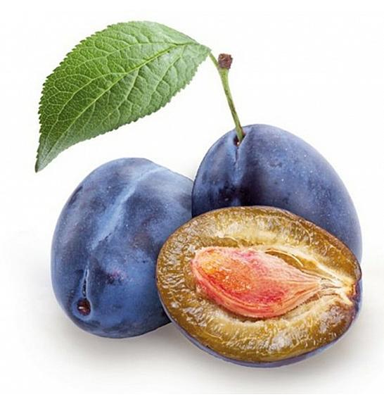 Prunus domestica Hauszwetsche C7,5 Lit. 125-150 cm (35366)