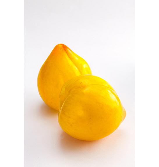 Prunus domestica Yellow Shark C5 Lit. 60-80 cm Na steblu