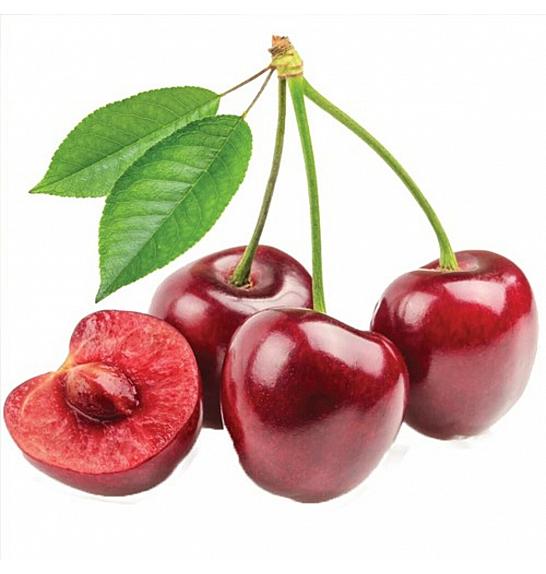 Prunus avium Sylvia C7,5 Lit. 150-175 cm Stebričasta