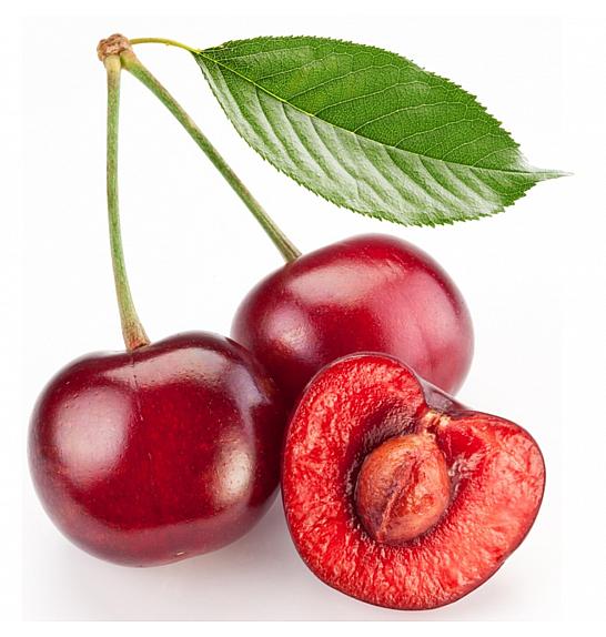 Prunus avium Sylvia C5 Lit. 125-150 cm Stebričasta