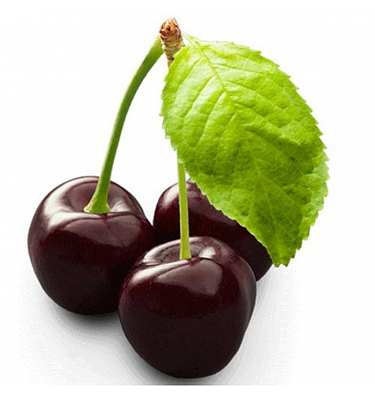 Prunus avium Grosse Schwarze Knorpelkirsche C5 Lit. 80-100 cm Patio