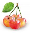 Prunus avium Bigareau Napoleon C5 Lit. 80-100 cm Patio