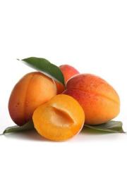 Prunus armeniaca Ungarische Beste C10 Lit. 150-175 cm