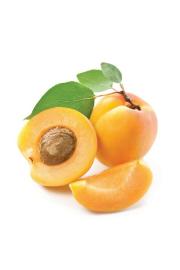 Prunus armeniaca Goldrich C10 Lit. 150-175 cm