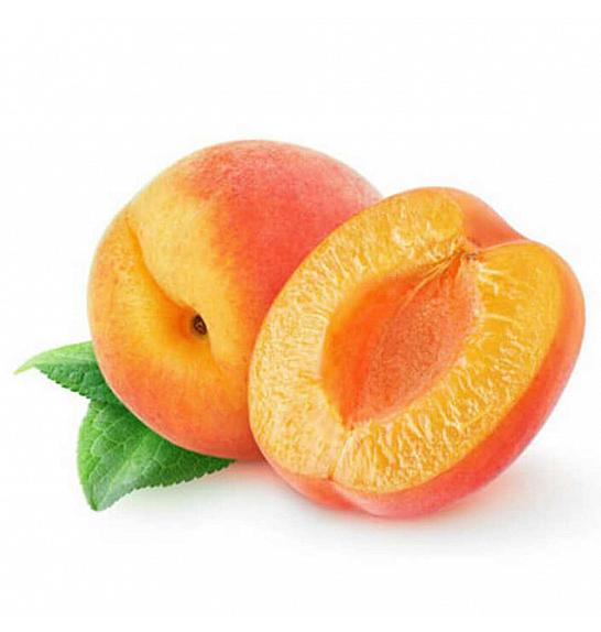 Prunus armeniaca Bergeron C7,5 Lit. 175-200 cm Na steblu 100 cm