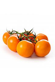 Paradižnik Tutti Frutti Mandarin F1 Ø10,5