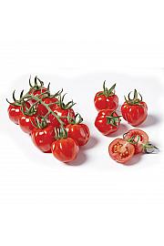 Paradižnik CE Tomatoberry F1 Ø12