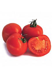 Paradižnik CE Previa F1 Ø13