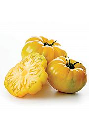 Paradižnik CE Ananas Ø12