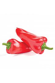 Paprika Snackly Red Ø10,5