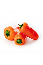 Paprika Snackly Orange F1 Ø10,5