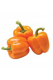 Paprika Orange Sunset Ø10,5