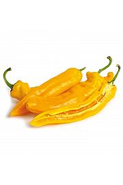 Paprika Honey Long (yellow) Ø10,5